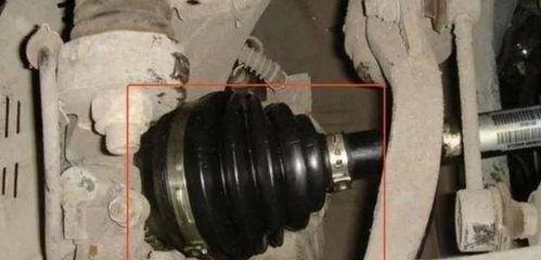 老司機忠告 這三個汽車零件越懶保養越好，過度呵護反成傷車元兇